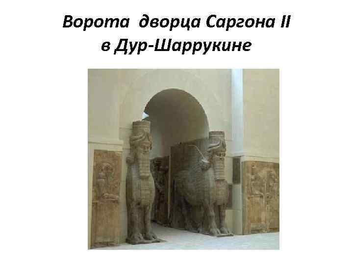 Купить Вино Sargon В Перми Красное Сухое