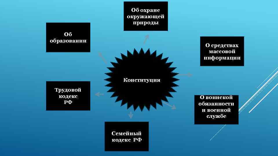 Об охране окружающей природы Об образовании О средствах массовой информации Конституция Трудовой кодекс РФ