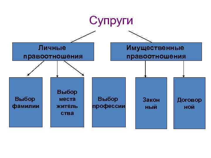 Супруги Личные правоотношения Выбор фамилии Выбор места житель ства Имущественные правоотношения Выбор профессии Закон