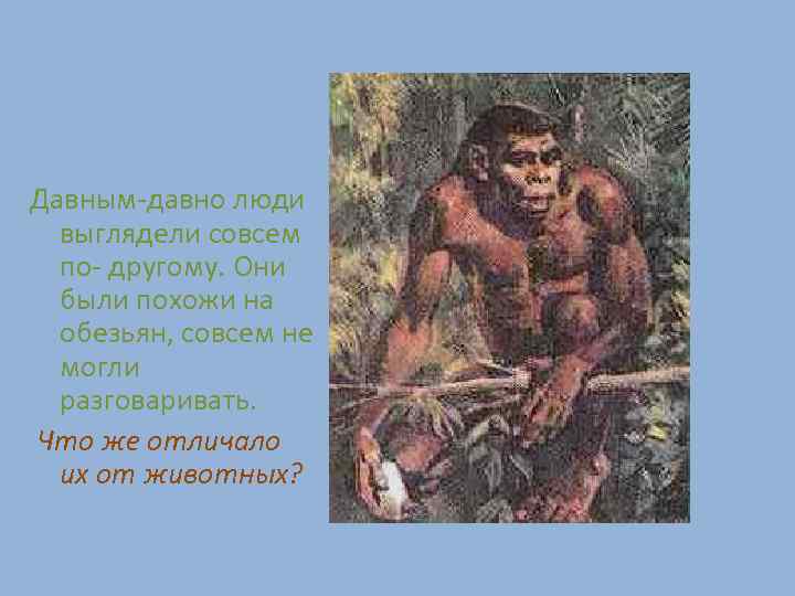 Давным-давно люди выглядели совсем по- другому. Они были похожи на обезьян, совсем не могли