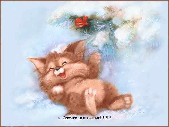  Спасибо за внимание!!!! 