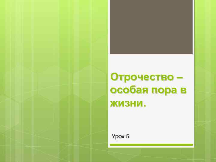 Отрочество – особая пора в жизни. Урок 5 