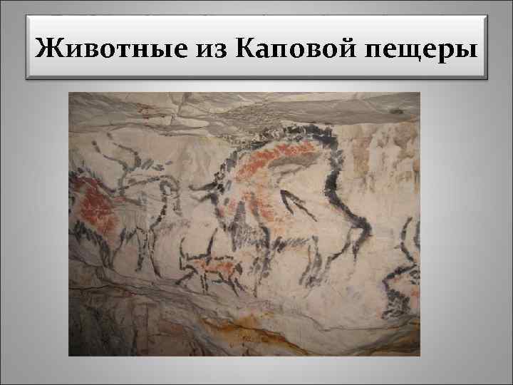 Животные из Каповой пещеры 