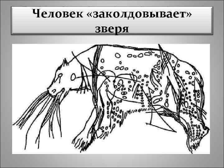 Человек «заколдовывает» зверя 