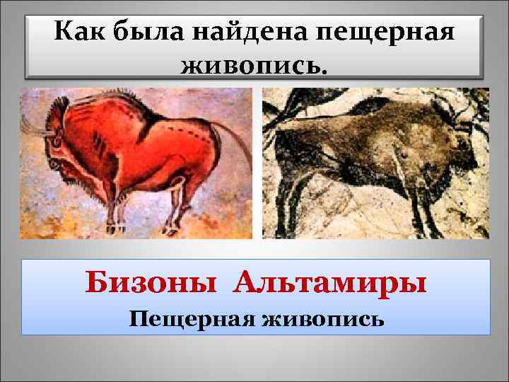 Как была найдена пещерная живопись. Бизоны Альтамиры Пещерная живопись 