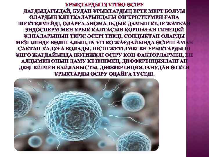 ҰРЫҚТАРДЫ IN VITRO ӨСІРУ ДАҒДЫДАҒЫДАЙ, БУДАН ҰРЫКТАРДЫҢ ЕРТЕ МЕРТ БОЛУЫ ОЛАРДЫҢ КЛЕТКАЛАРЫНДАҒЫ ӨЗГЕРІСТЕРМЕН ҒАНА