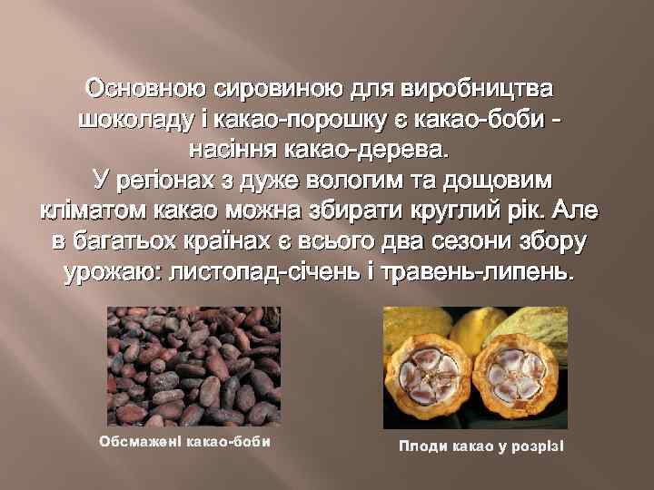 Основною сировиною для виробництва шоколаду і какао-порошку є какао-боби - насіння какао-дерева. У регіонах