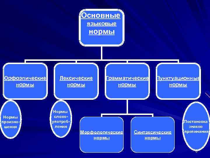 Основные языковые нормы Орфоэпические нормы Нормы произношения Лексические нормы Грамматические нормы Пунктуационные нормы Нормы