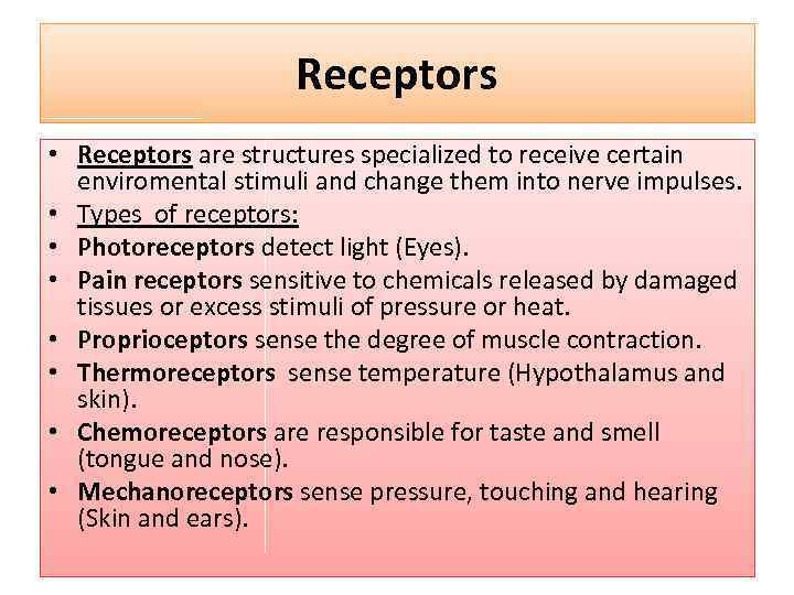 Receptors • Receptors are structures specialized to receive certain enviromental stimuli and change them