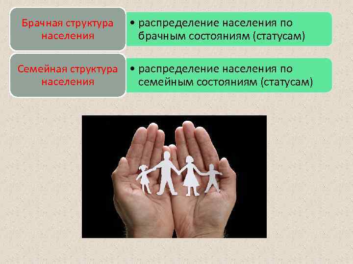 Брачная структура населения • распределение населения по брачным состояниям (статусам) Семейная структура • распределение