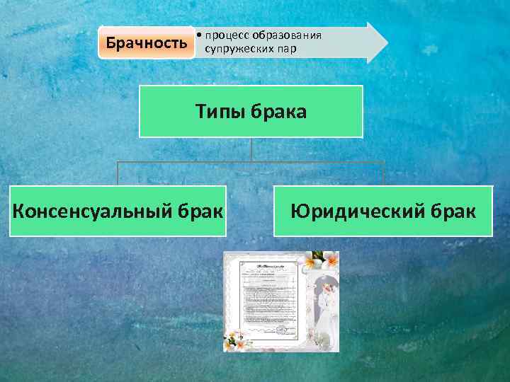 Брачность • процесс образования супружеских пар Типы брака Консенсуальный брак Юридический брак 