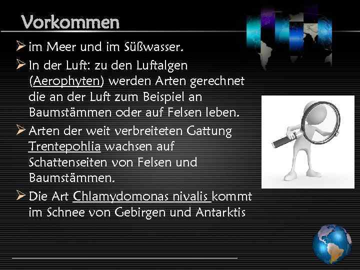 Vorkommen Ø im Meer und im Süßwasser. Ø In der Luft: zu den Luftalgen