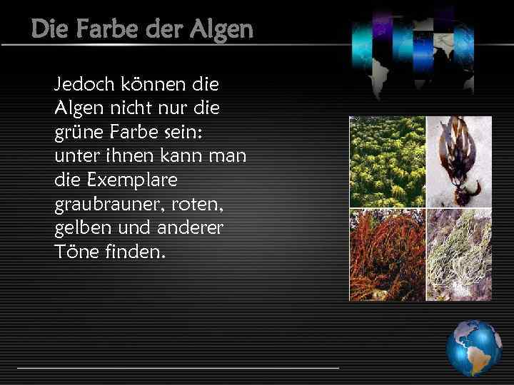 Die Farbe der Algen Jedoch können die Algen nicht nur die grüne Farbe sein: