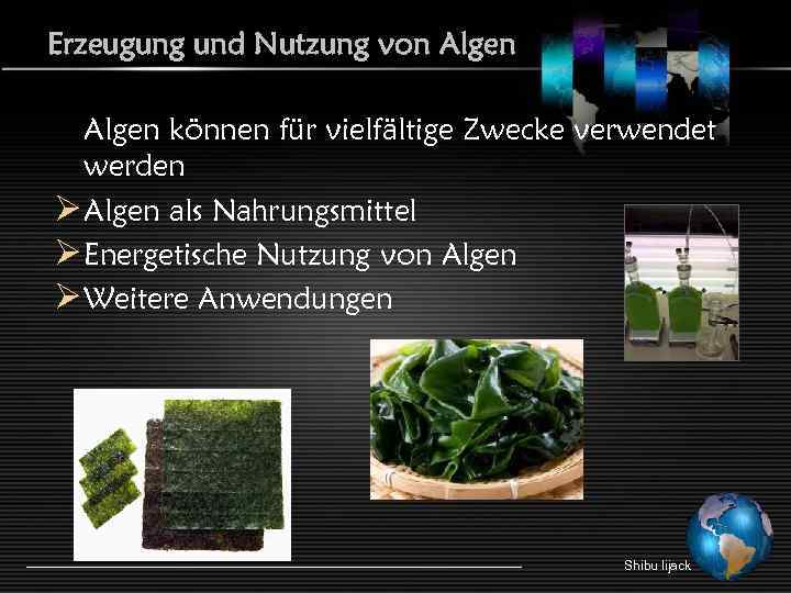 Erzeugung und Nutzung von Algen können für vielfältige Zwecke verwendet werden Ø Algen als