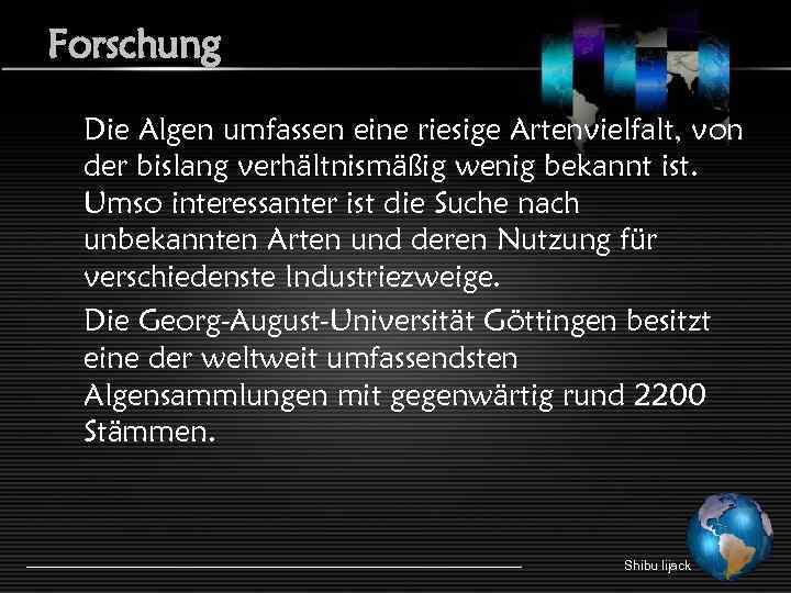 Forschung Die Algen umfassen eine riesige Artenvielfalt, von der bislang verhältnismäßig wenig bekannt ist.