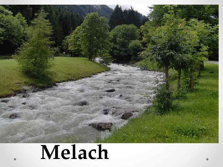 Melach 
