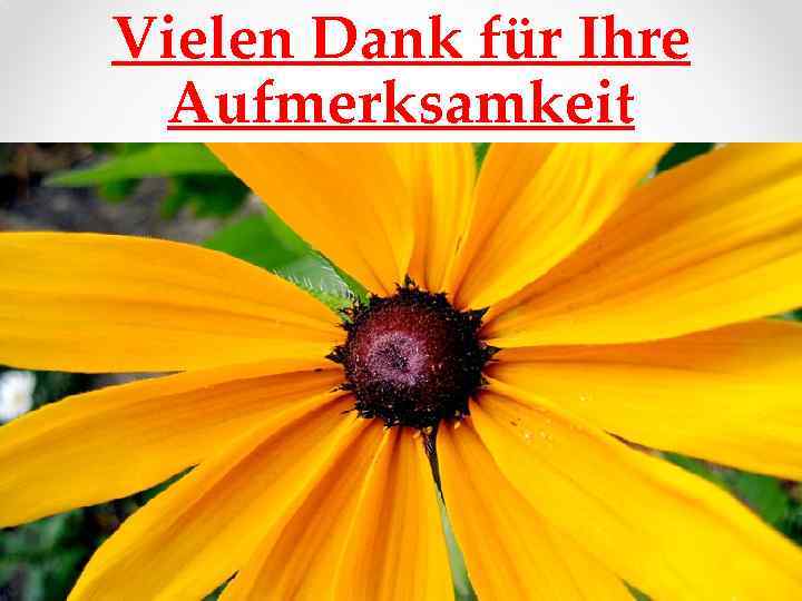 Vielen Dank für Ihre Aufmerksamkeit 