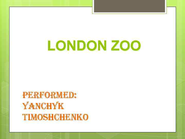 LONDON ZOO Performed: yanchyk Timoshchenko 