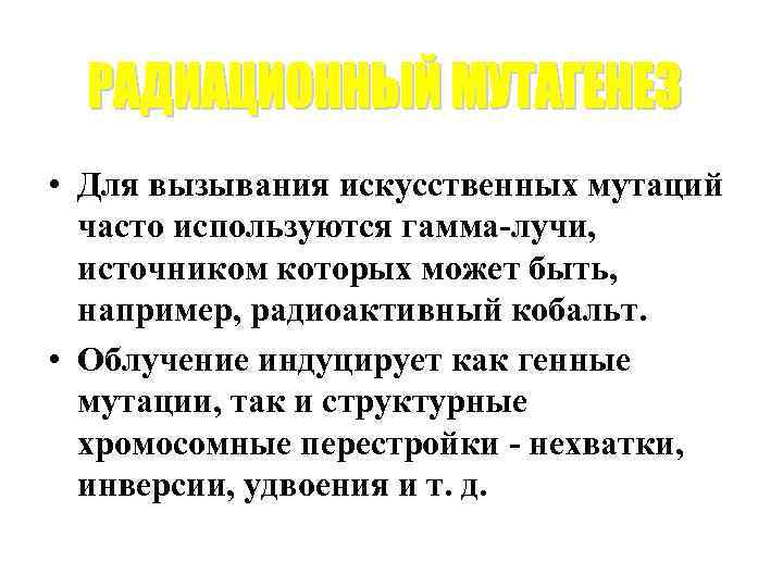 • Для вызывания искусственных мутаций часто используются гамма-лучи, источником которых может быть, например,