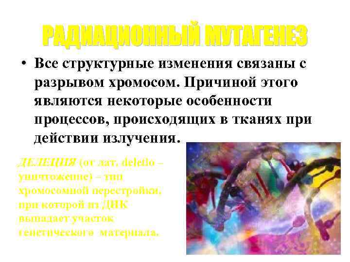  • Все структурные изменения связаны с разрывом хромосом. Причиной этого являются некоторые особенности