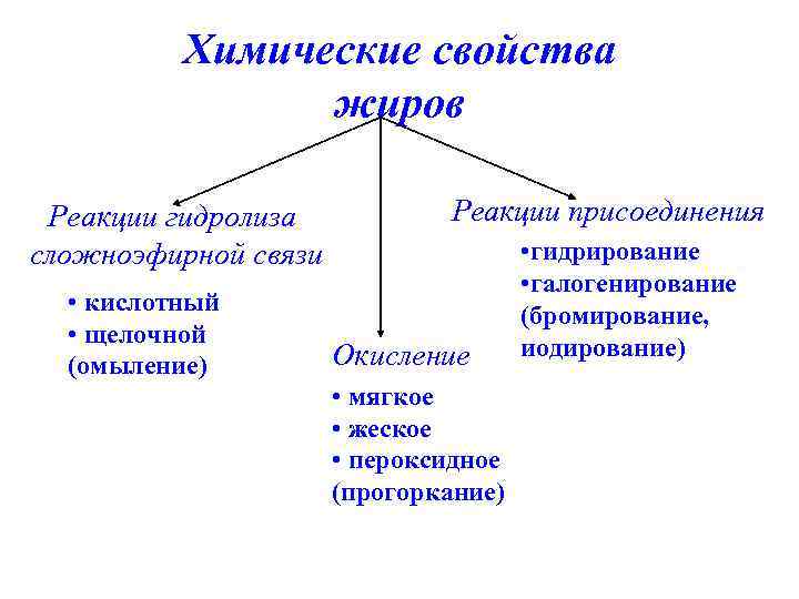 Свойства жиров. Жиры химические свойства. Химичяескиесвойства жиров. Химические свойства жи.