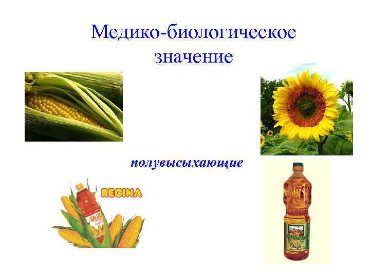 Медико-биологическое значение полувысыхающие 