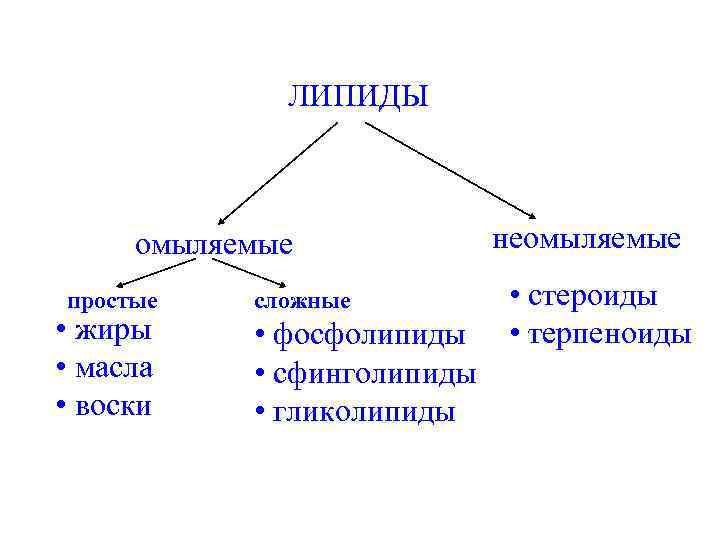 ЛИПИДЫ омыляемые простые • жиры • масла • воски сложные • фосфолипиды • сфинголипиды
