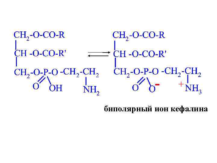 биполярный ион кефалина 