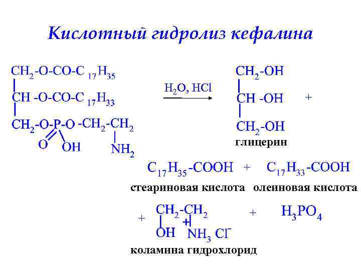 Гидролиз жиров стеариновая кислота. Фосфатидилхолин щелочной гидролиз. Глицерин плюс олеиновая кислота. Коламин кефалин. Глицерин и олеиновая кислота формула.