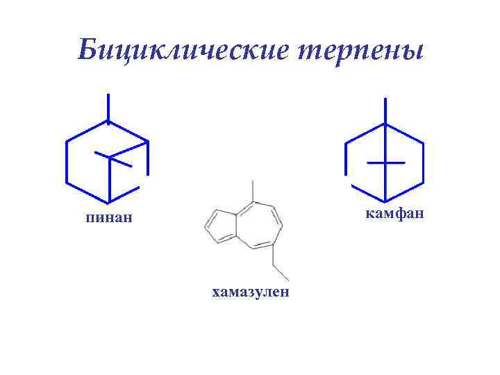 Бициклические терпены камфан пинан хамазулен 