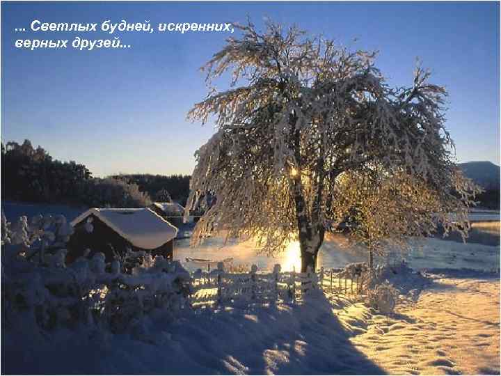 . . . Светлых будней, искренних, верных друзей. . . 