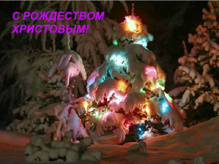 С РОЖДЕСТВОМ ХРИСТОВЫМ! 