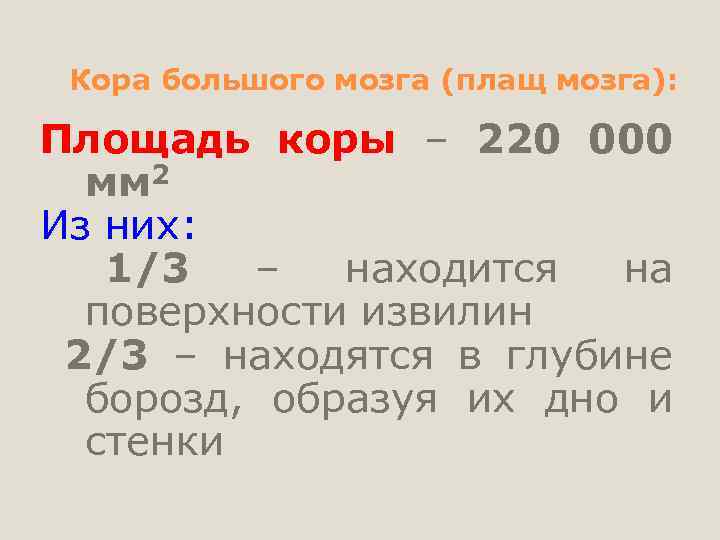 Кора большого мозга (плащ мозга): Площадь коры – 220 000 мм 2 Из них: