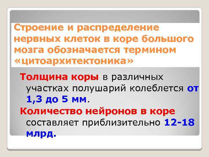 Строение и распределение нервных клеток в коре большого мозга обозначается термином «цитоархитектоника» Толщина коры