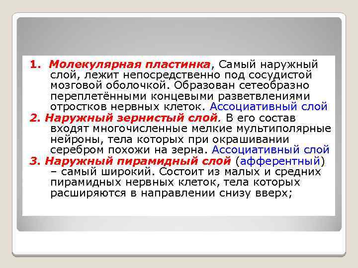 1. Молекулярная пластинка, Самый наружный слой, лежит непосредственно под сосудистой мозговой оболочкой. Образован сетеобразно