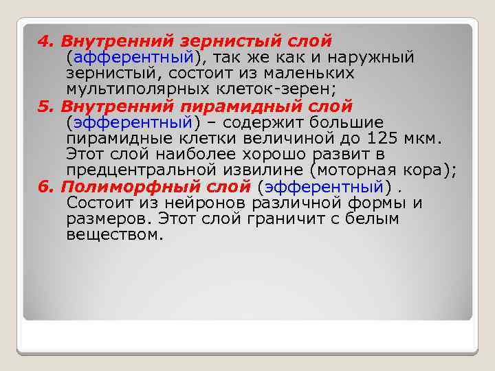 4. Внутренний зернистый слой (афферентный), так же как и наружный зернистый, состоит из маленьких