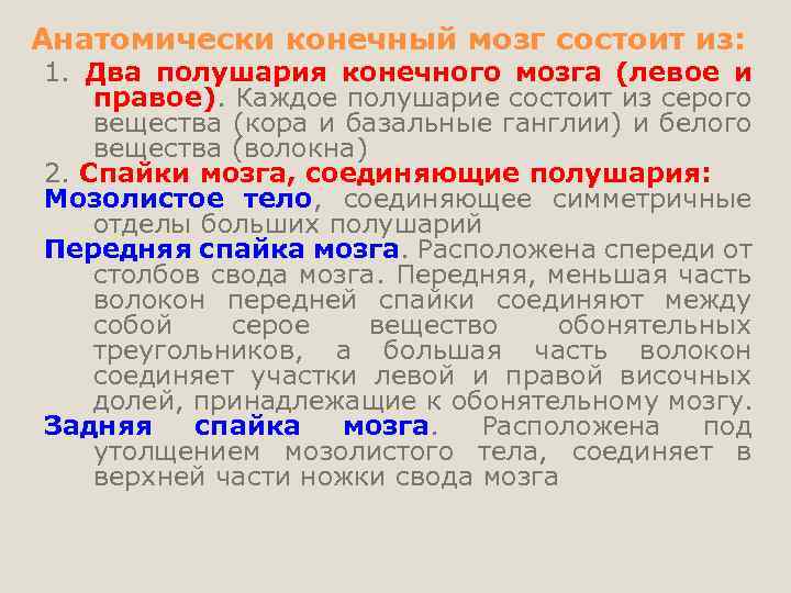 Анатомически конечный мозг состоит из: 1. Два полушария конечного мозга (левое и правое). Каждое