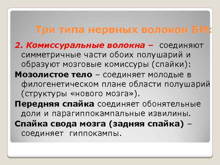 Три типа нервных волокон БМ: 2. Комиссуральные волокна – соединяют симметричные части обоих полушарий