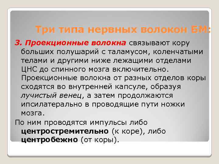 Три типа нервных волокон БМ: 3. Проекционные волокна связывают кору больших полушарий с таламусом,