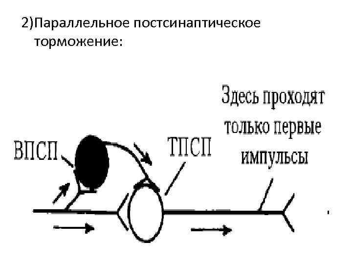 Нарисуйте схему развития внешнего торможения рис 3081