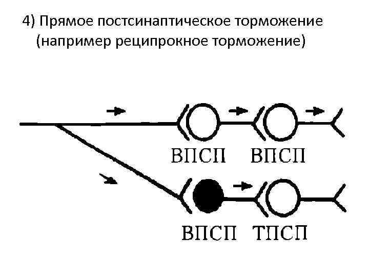 Нарисуйте схему развития внешнего торможения рис 308