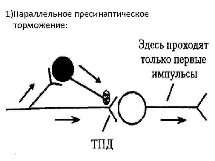 Нарисуйте схему развития внешнего торможения