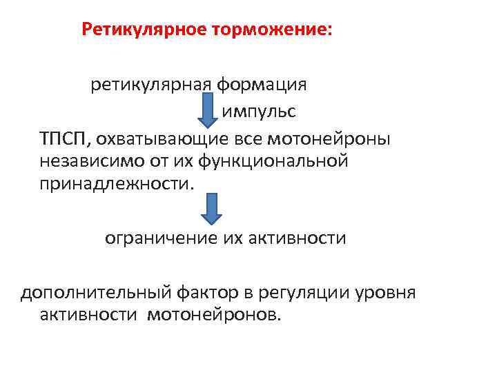 Ретикулярное торможение: ретикулярная формация импульс ТПСП, охватывающие все мотонейроны независимо от их функциональной принадлежности.