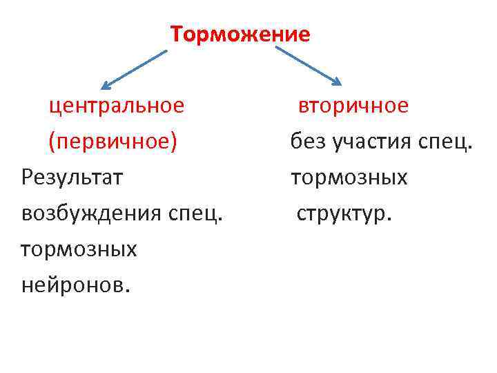 Торможение центральное (первичное) Результат возбуждения спец. тормозных нейронов. вторичное без участия спец. тормозных структур.