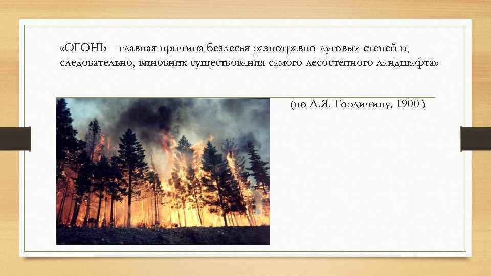  «ОГОНЬ – главная причина безлесья разнотравно-луговых степей и, следовательно, виновник существования самого лесостепного