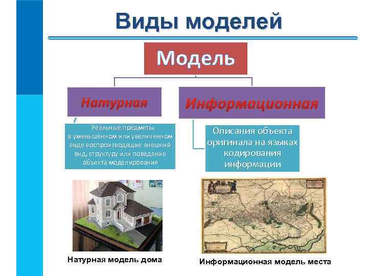 Укажите натурные материальные модели несколько вариантов ответа физическая карта