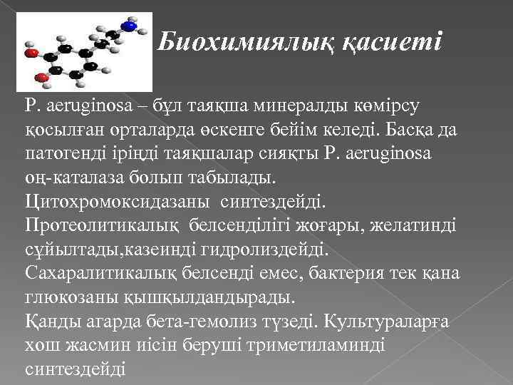 Биохимиялық қасиеті P. aeruginosa – бұл таяқша минералды көмірсу қосылған орталарда өскенге бейім келеді.