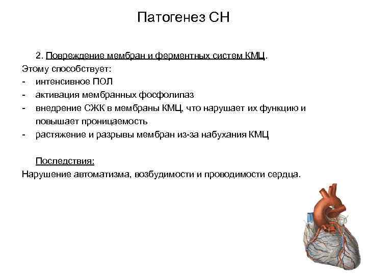 Патогенез СН 2. Повреждение мембран и ферментных систем КМЦ. Этому способствует: - интенсивное ПОЛ