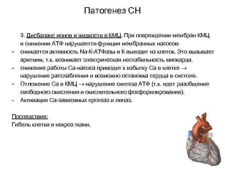 Патогенез СН - 3. Дисбаланс ионов и жидкости в КМЦ. При повреждении мембран КМЦ