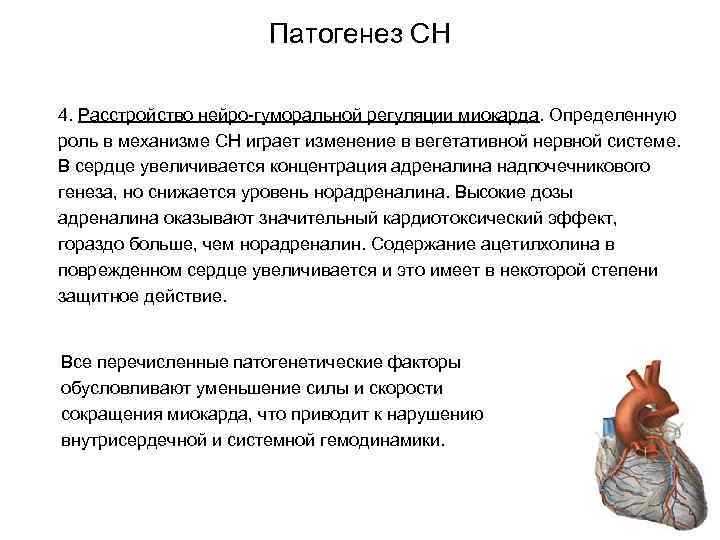 Патогенез СН 4. Расстройство нейро-гуморальной регуляции миокарда. Определенную роль в механизме СН играет изменение